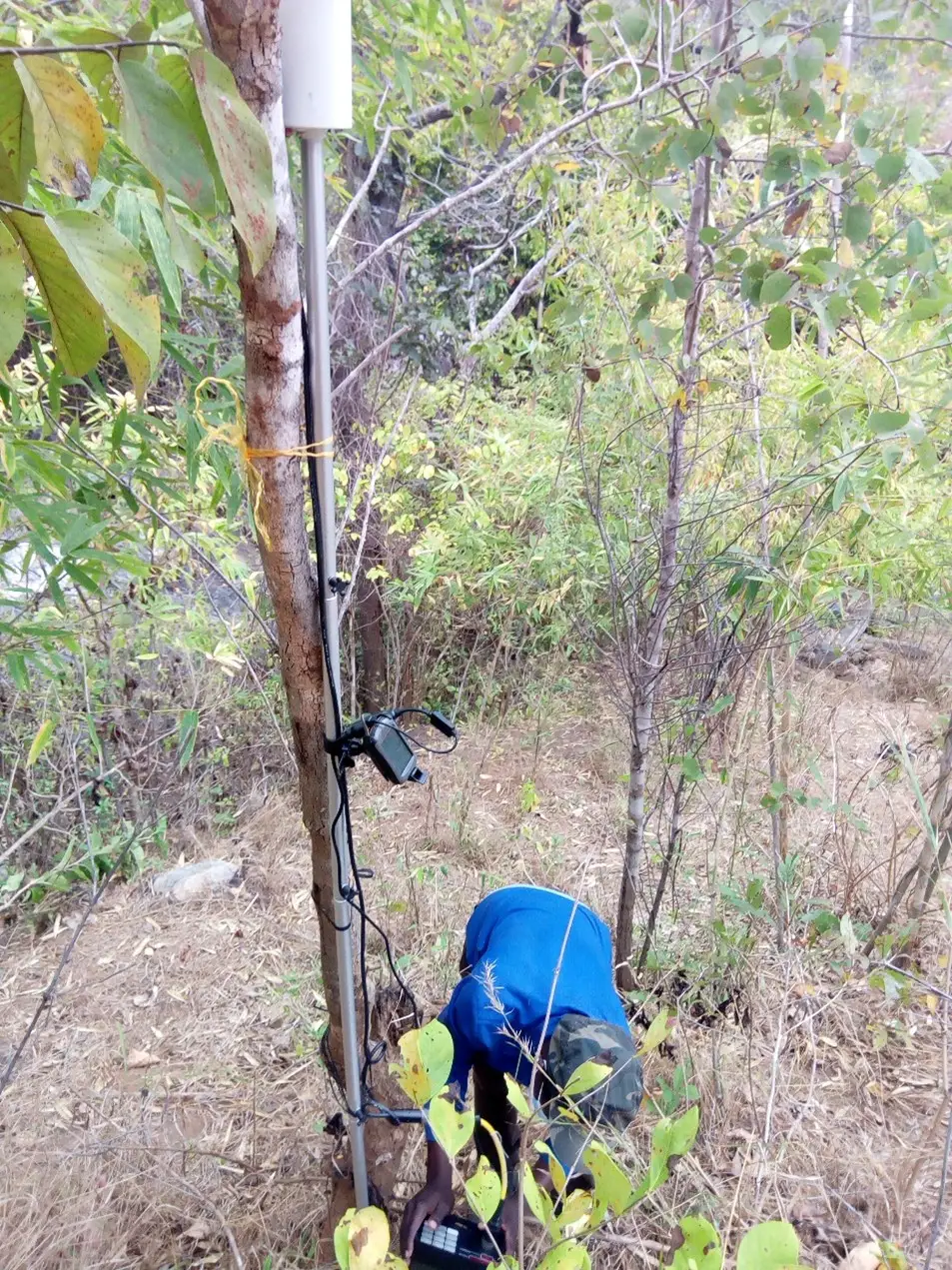 Ground geophysics image 3