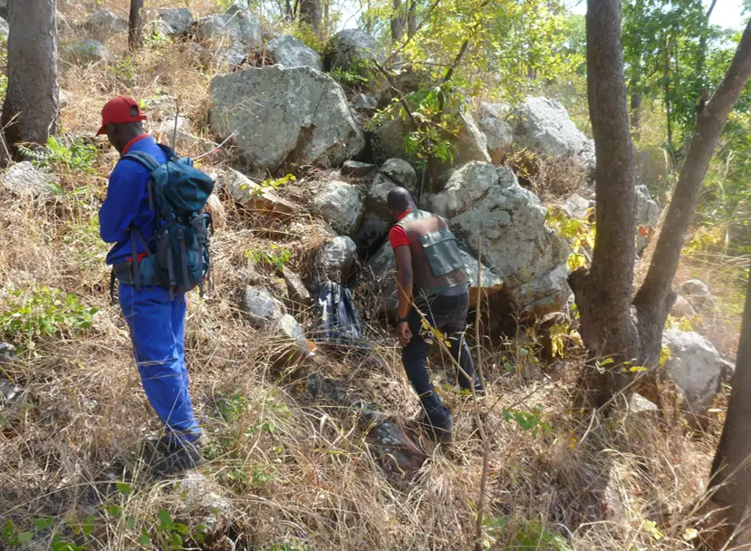 Rare metal mineralization image 1
