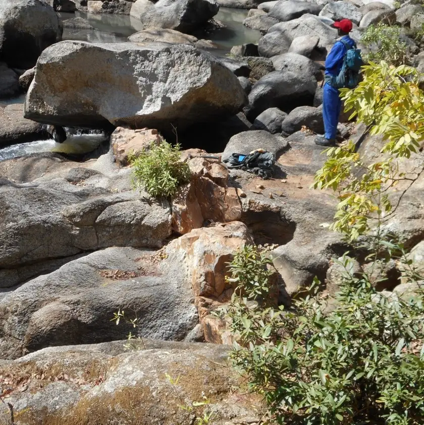 Rare metal mineralization image 2